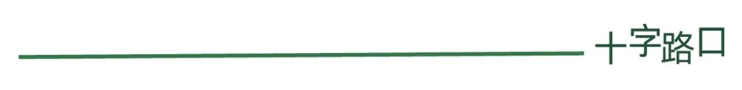 我们在极速建站的 AI Agent 里,获得了「瞬间成就感」