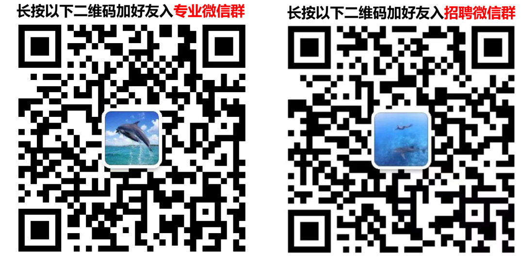 MCP在数据领域的应用探索