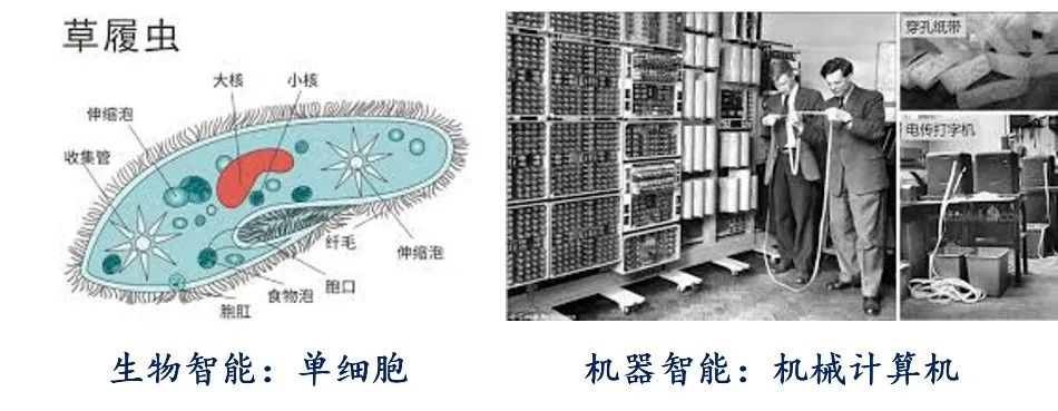 AI Agent 的发展：能力、技术架构和软硬件形态