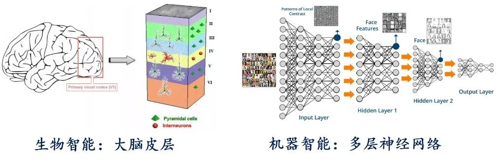 AI Agent 的发展：能力、技术架构和软硬件形态