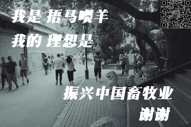 迎来AI时代的思考