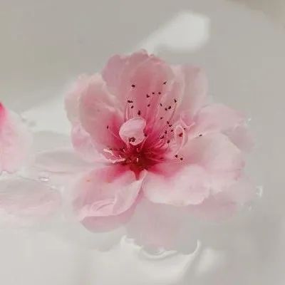 AI时代,更考验你的知识积累