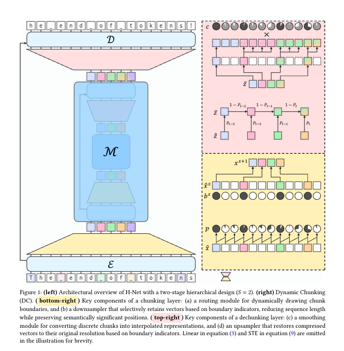 用Dynamic chunk去干掉tokenizer？