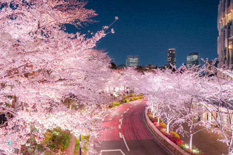 深度实测通用Agent 2.0，学会全栈开发后把GPT Agent按在地上打了