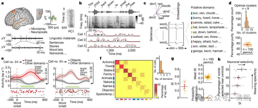 DeepSeek OCR + mHC 将开启多模态“信息动力学”新范式