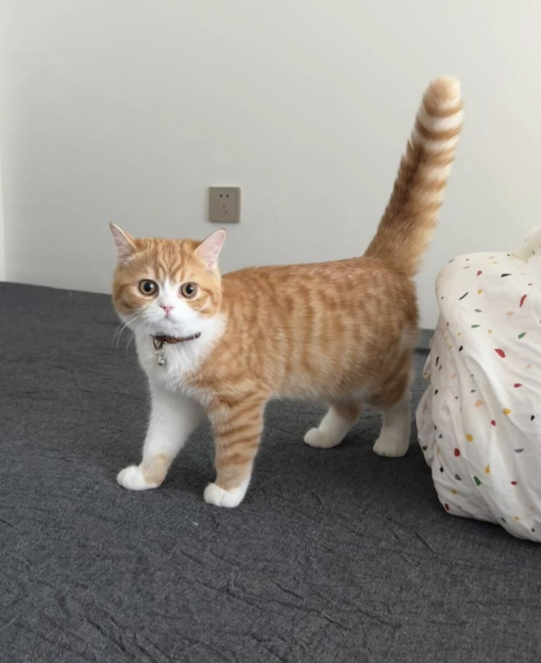 千人千面，精控调色，更懂你的Wan2.7-Image来了