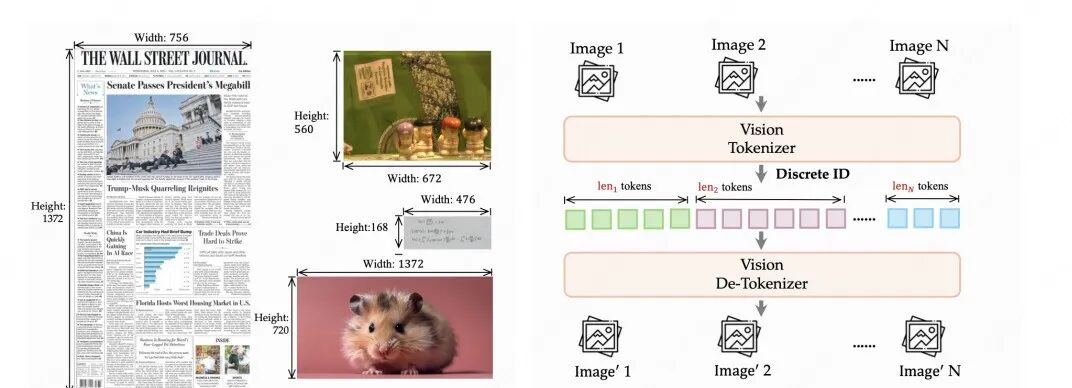 美团发布原生多模态 LongCat-Next：当视觉和语音成为AI的母语