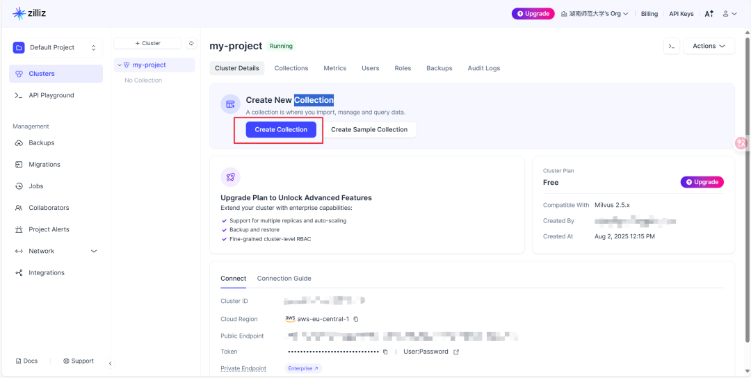 使用 Milvus 快速搭建 RAG 服务