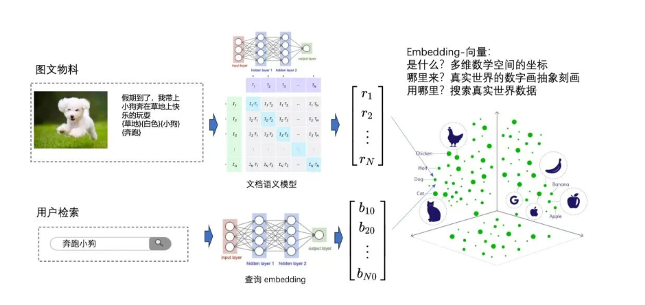 向量，向量化，向量数据库和向量计算