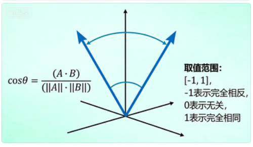 向量，向量化，向量数据库和向量计算