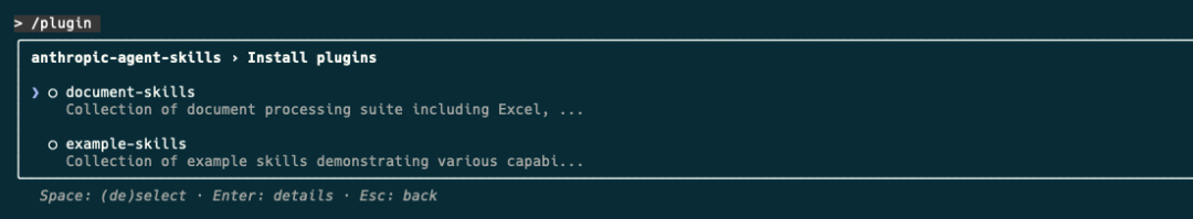 Claude发布新功能Agent Skills，让你的Agent更专业