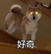 美团新独立APP，点不了菜只能点AI