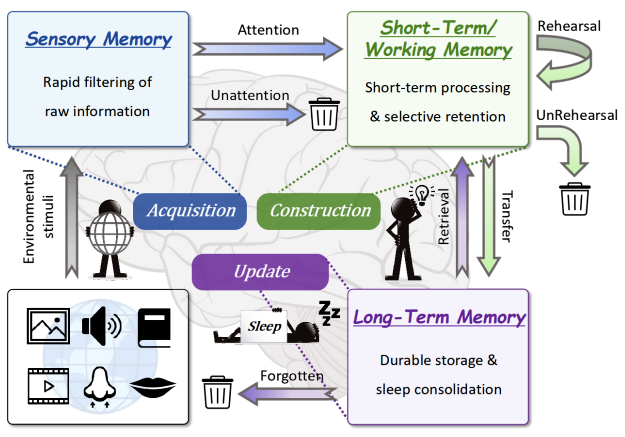117倍效率提升：解密LightMem如何重塑LLM的记忆能力