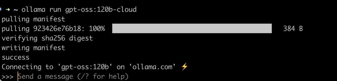 本地太卡？教你用 Ollama 云模型无压力运行 120B 模型