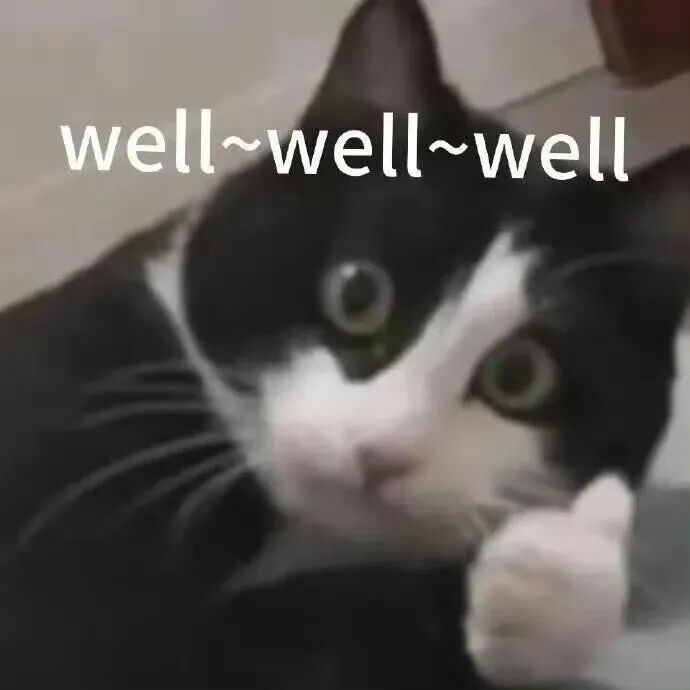 看图写代码，3毛钱开发一个网页！字节AI Coding新模型真卷麻了