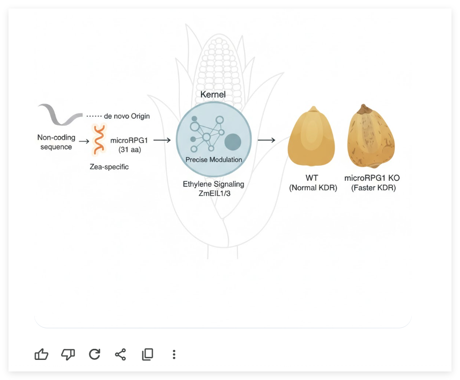 Gemini 3到底有多强？5大科研场景实测来了