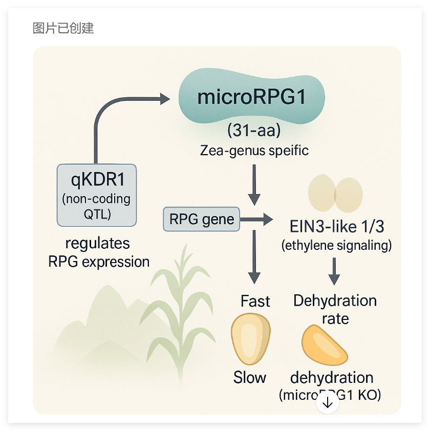 Gemini 3到底有多强？5大科研场景实测来了