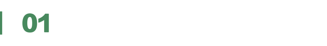 逐际动力张巍：人形机器人的本质是 AI 应用｜Agentic Era