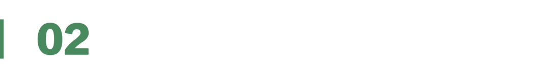 逐际动力张巍：人形机器人的本质是 AI 应用｜Agentic Era