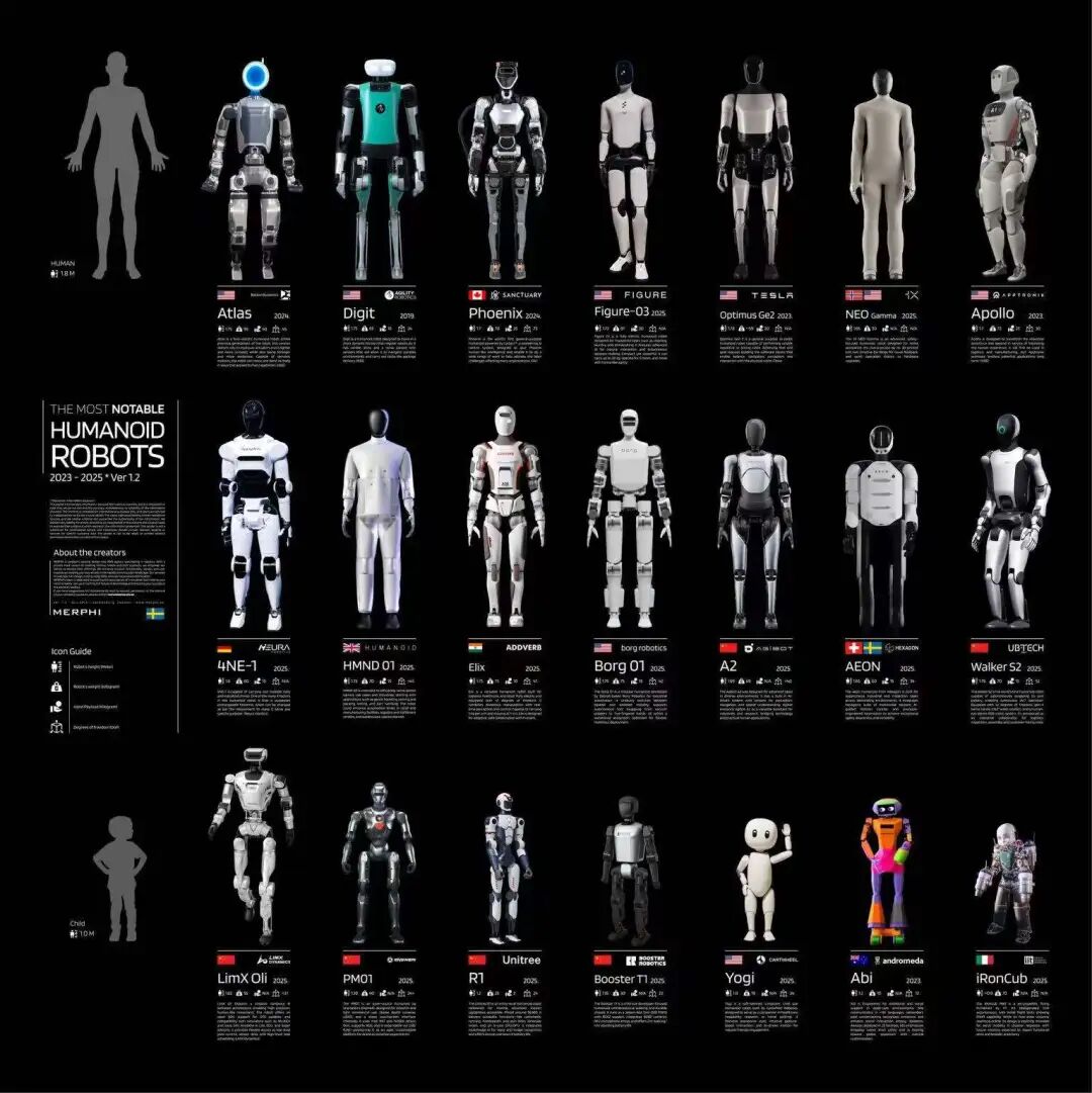 逐际动力张巍：人形机器人的本质是 AI 应用｜Agentic Era