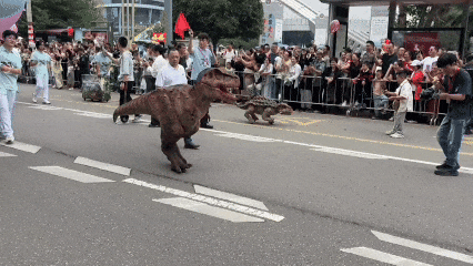 逐际动力张巍：人形机器人的本质是 AI 应用｜Agentic Era