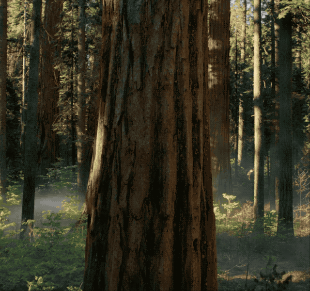 夸克 AI 浏览器全面升级，可随时唤起千问