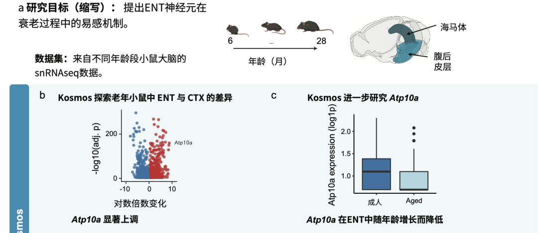 200 美元，一天干完半年活：这个新出的AI科学家，是来砸博士生饭碗的吗？