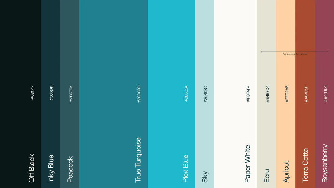 Perplexity 团队深度解析｜组织协作、AI原生产品体验与品牌美学