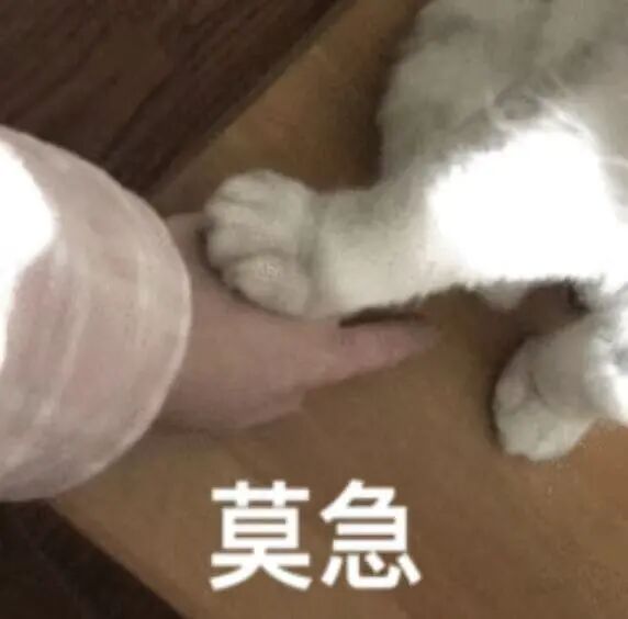 一位网友逆向破解了 ChatGPT 记忆系统，给我干破防了