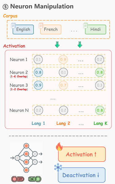 PNAS：大语言模型如何在不同语言中加剧知识鸿沟