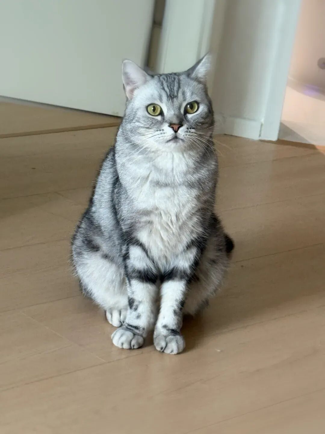 史上最最通俗的，AI发展历程综述！