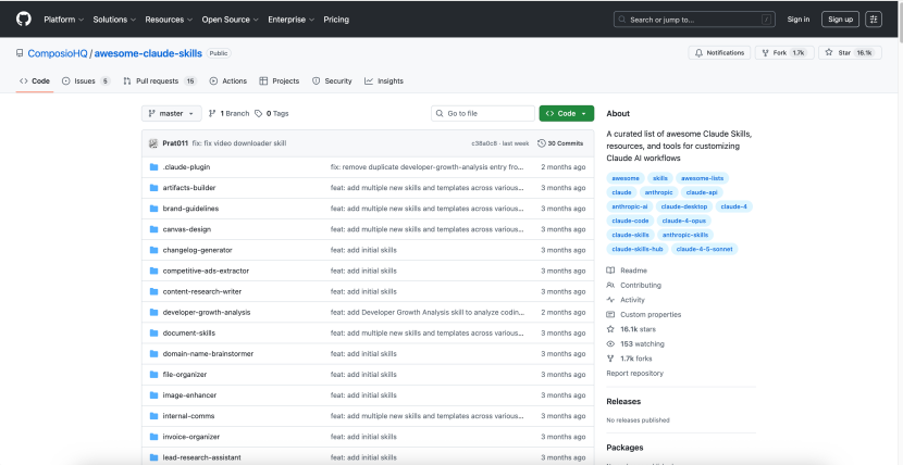 Claude Code Skills 国内实践全指南：从安装部署到高阶开发