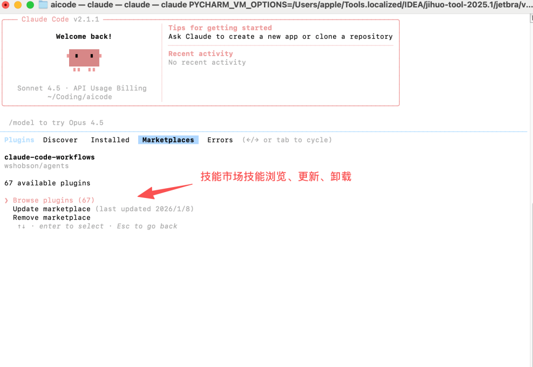 Claude Code Skills 国内实践全指南：从安装部署到高阶开发