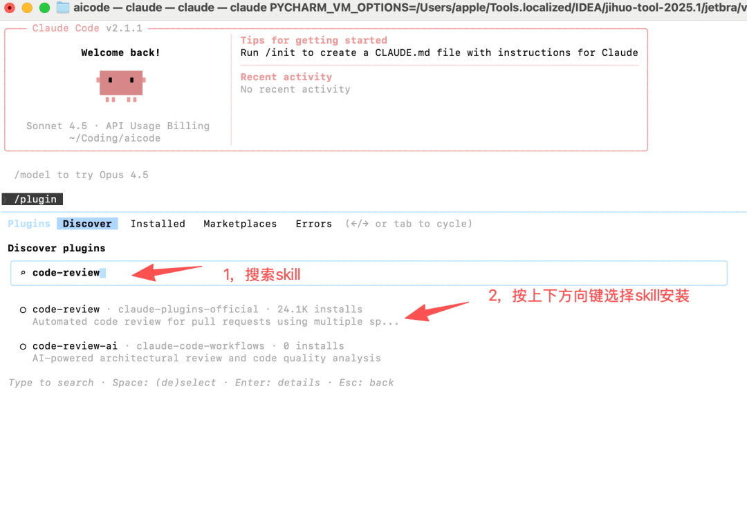 Claude Code Skills 国内实践全指南：从安装部署到高阶开发