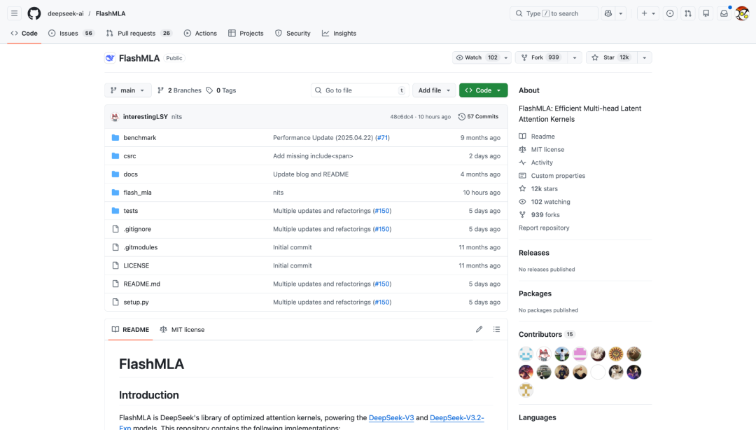 从一行代码发现DeepSeek的秘密：Model1到底是什么？