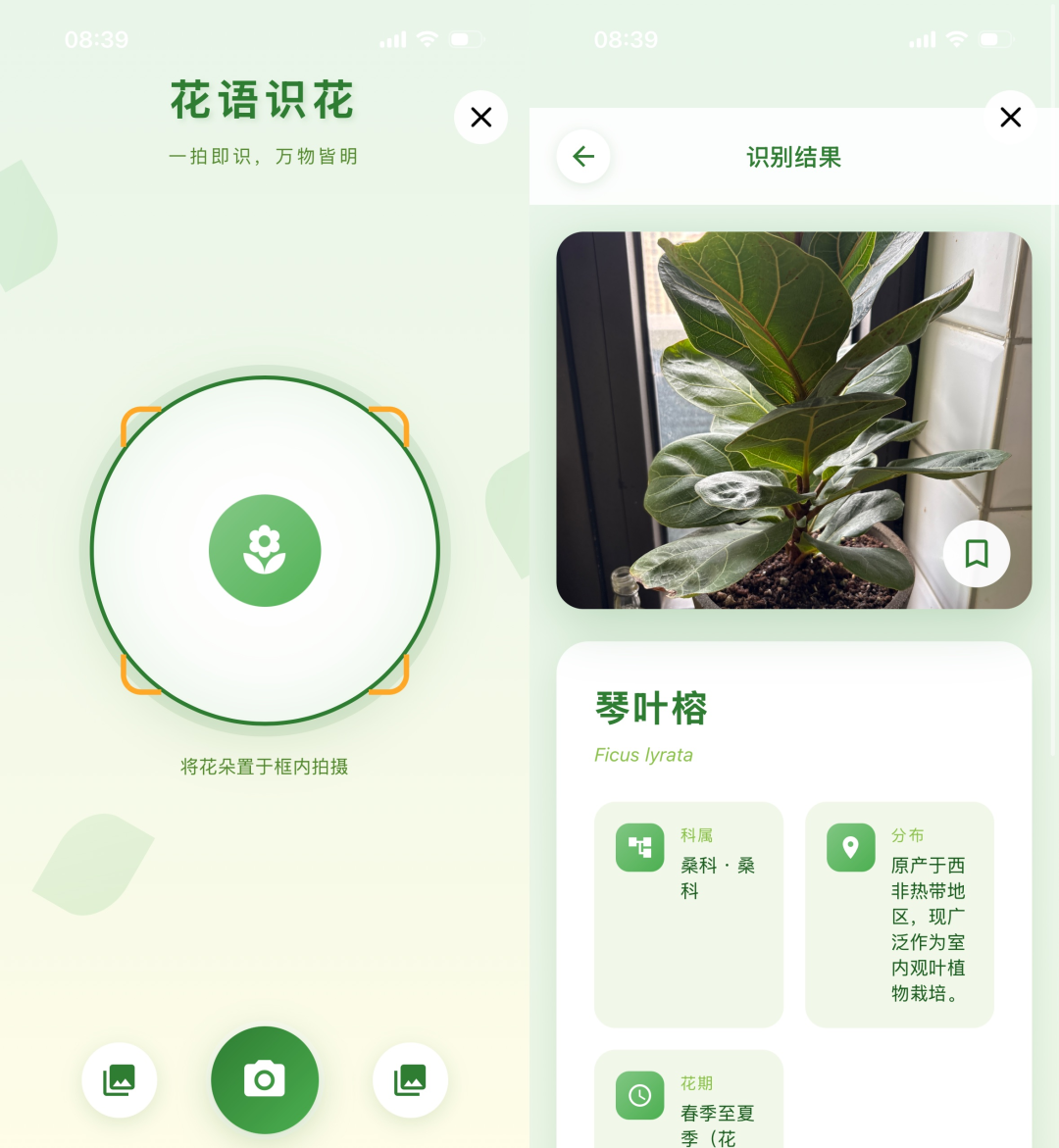 「想到」就能「得到」：灵光圈，把 Coding Agent 交到普通人手里