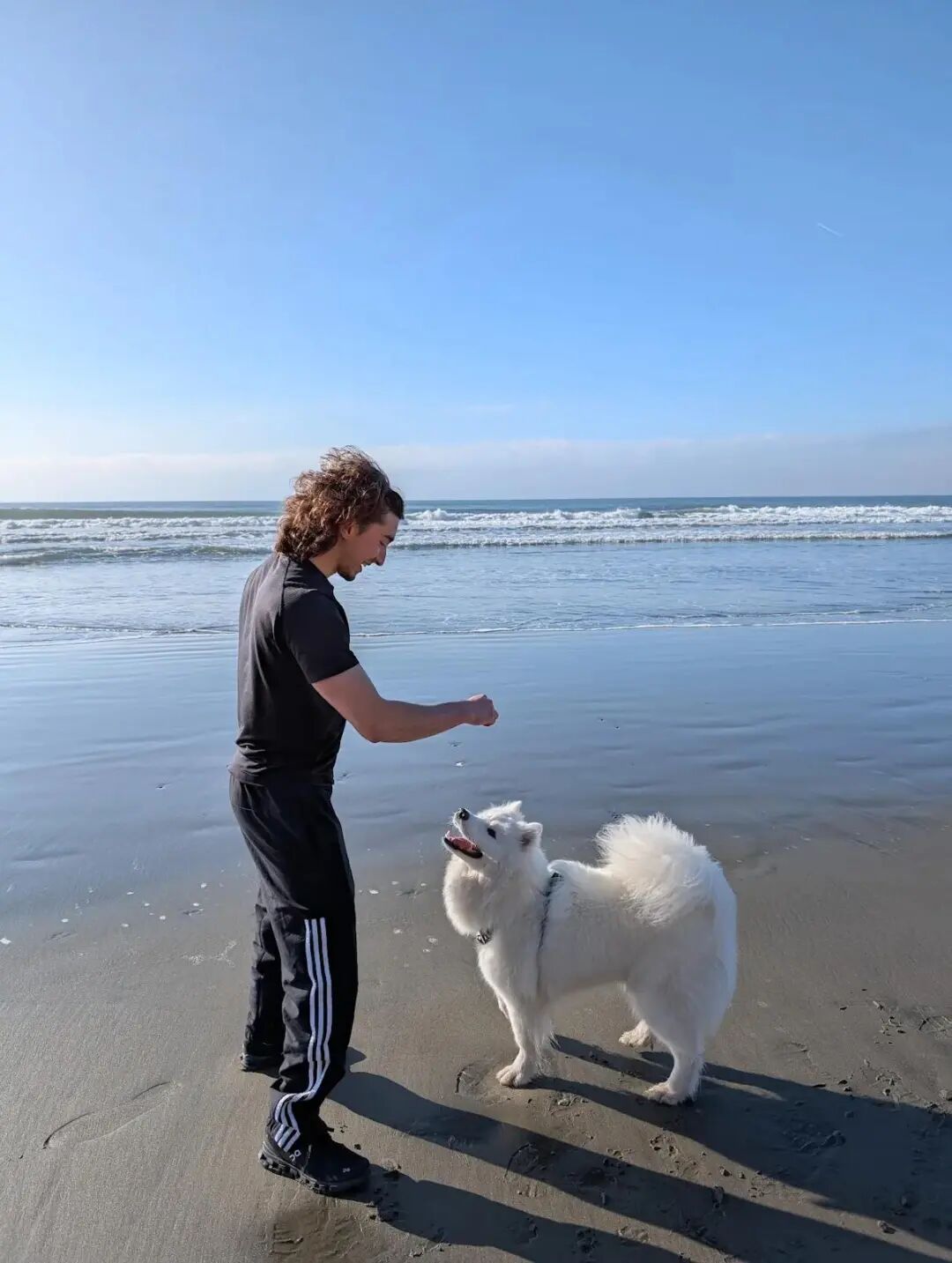 Anthropic 做了个 Agent 版闲鱼