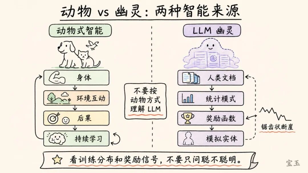 Karpathy 最新访谈：Vibe Coding 只是开始，真正重要的是 Agentic Engineering