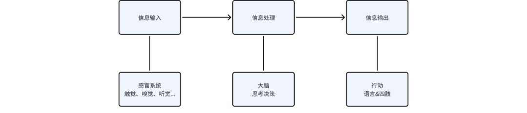 coze平台保姆级教程，手把手教你创建属于你的AI Agent