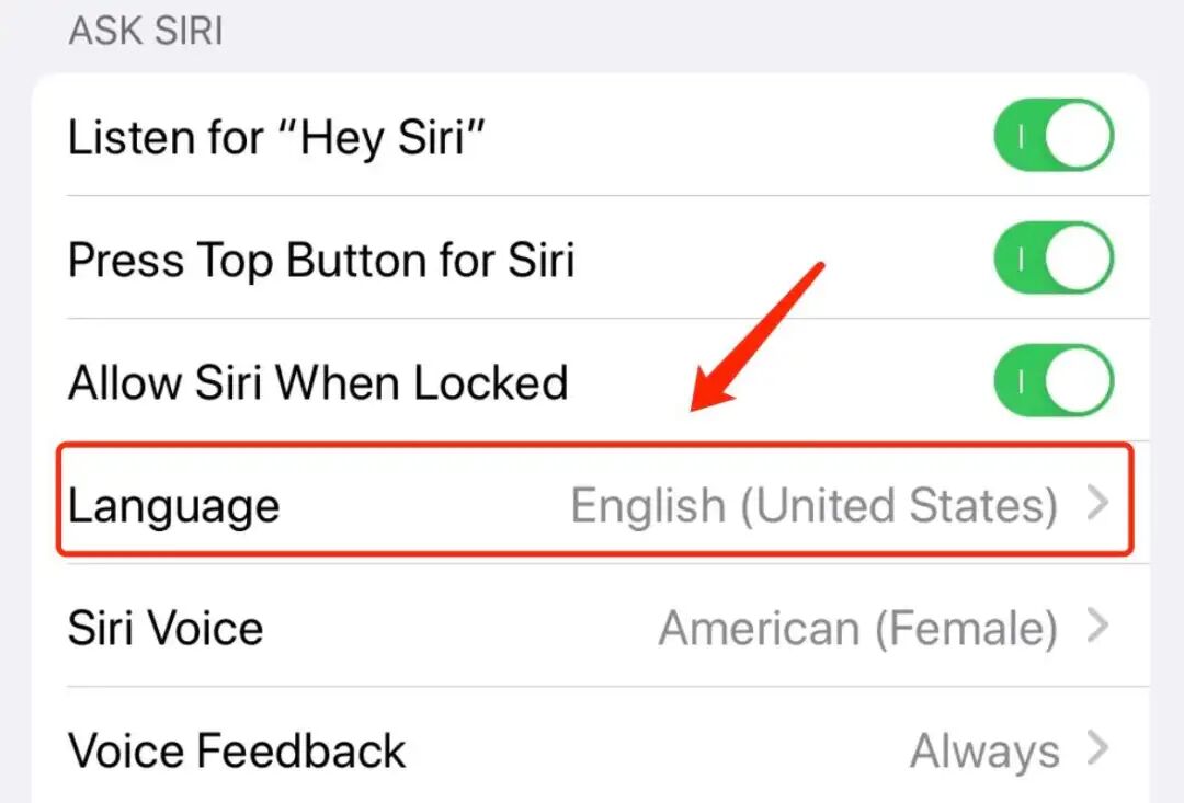 一文记录Apple Intelligence从开始到设置全过程！