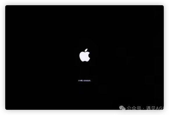 国行 Mac 解锁开启 Apple Intelligence 免费使用 ChatGPT plus 教程篇