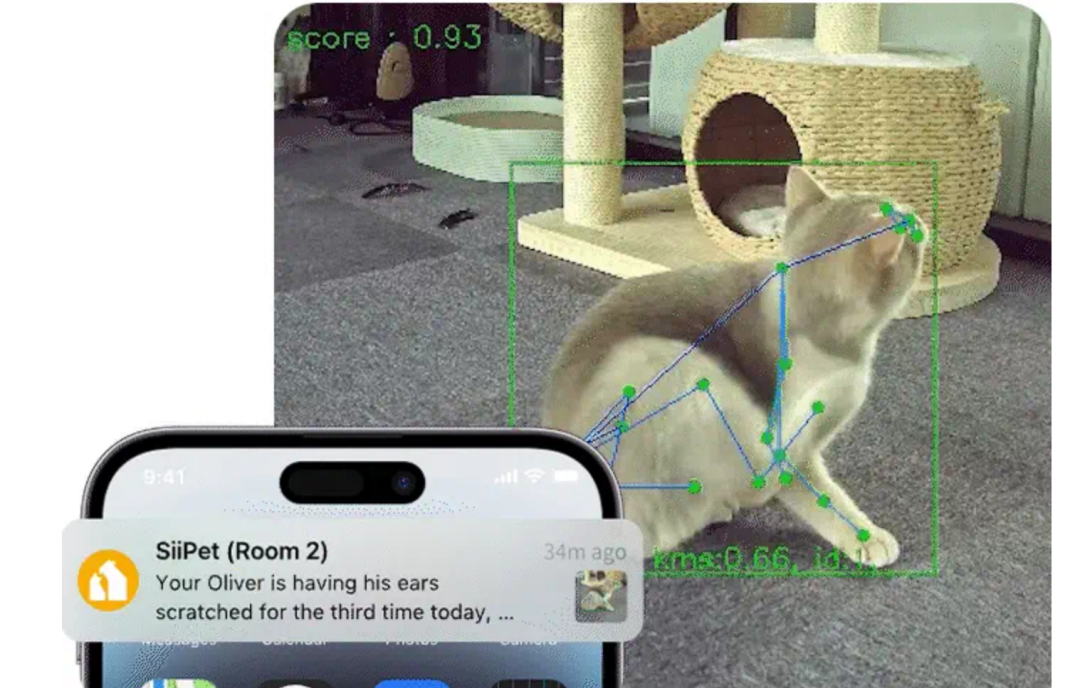 宠物AI摄像头新突破: 号称首款行为分析宠物摄像头分析揭秘
