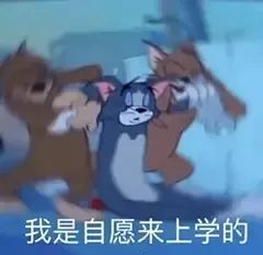 老潘的思考（AI部署、方向、就业）!