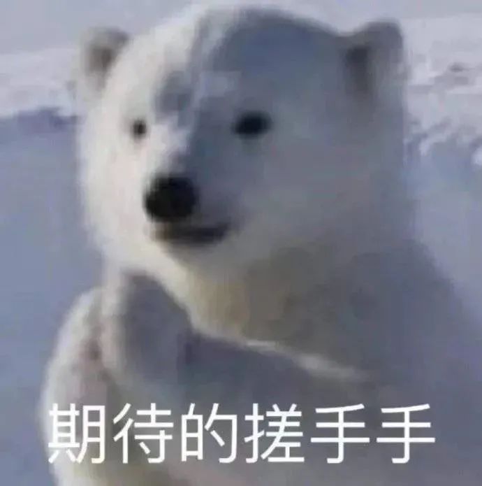 o3 发布了，摔碎了码农的饭碗