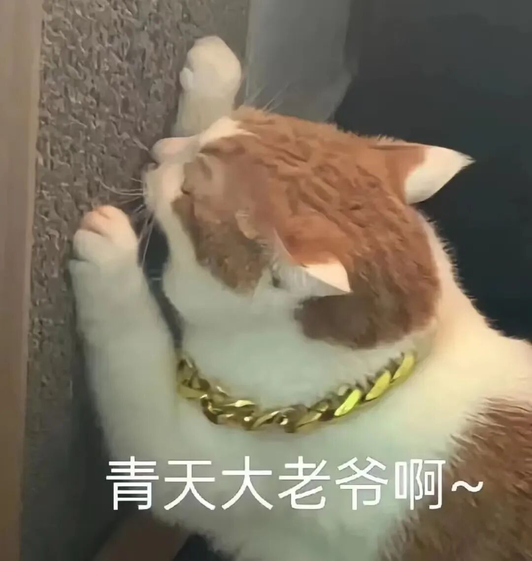 AI正在颠覆律师的常法服务模式 ｜ 白玉视野
