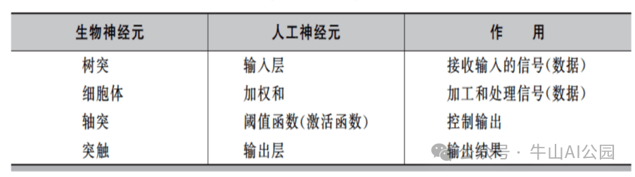 AI模型训练到底在训练什么？