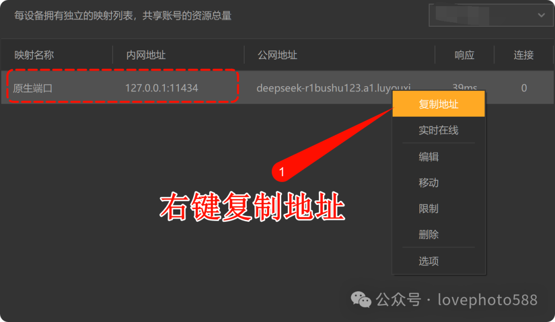 DeepSeek本地部署（局域网+异地访问）数据库（保姆教程）