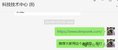 一场技术突围战：DeepSeek如何让我扔掉百度飞桨和阿里OCR？