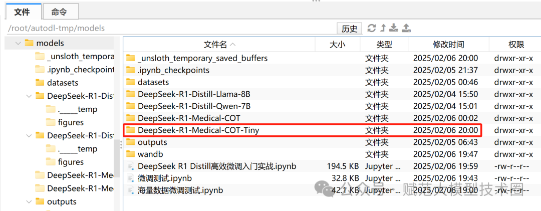 这可能是全网最保姆的DeepSeek微调教学