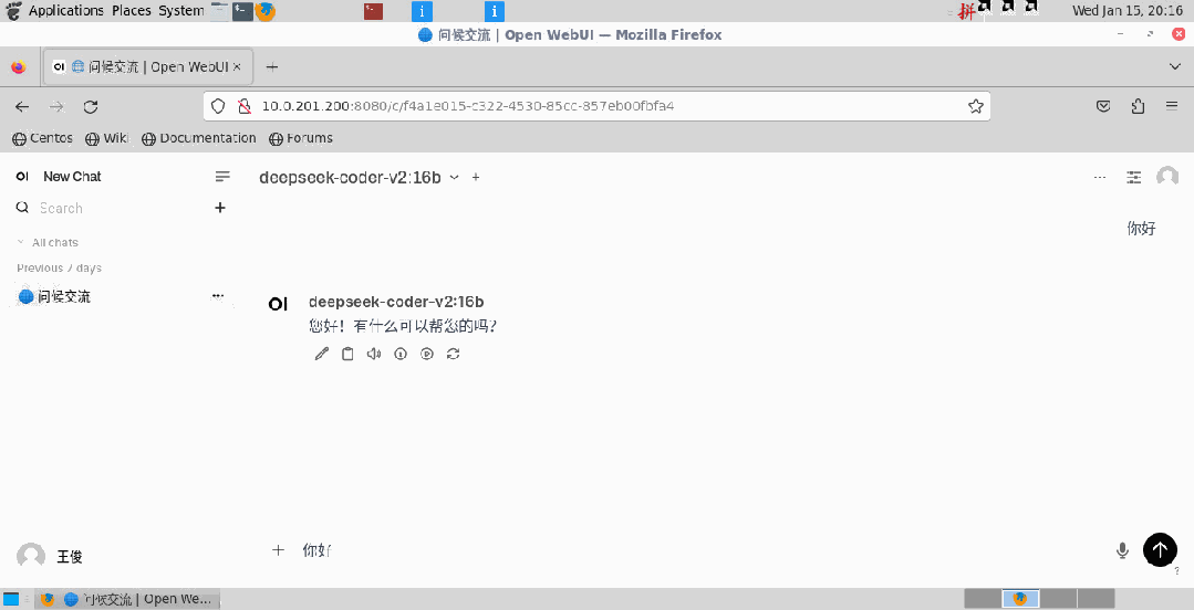 企业级私有化部署：基于 Ollama 实现 DeepSeek 大模型